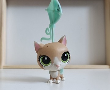 Littlest pet shop figurka - kot