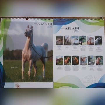 2020 Tutto Arabi Calendar/kalendarz konie arabskie