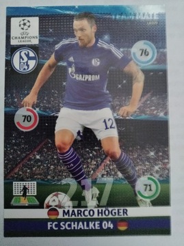 MARCO HOGER - Panini 2014-2015