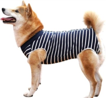 HEYWEAN ubranko do rekonwalescencji dla psa S