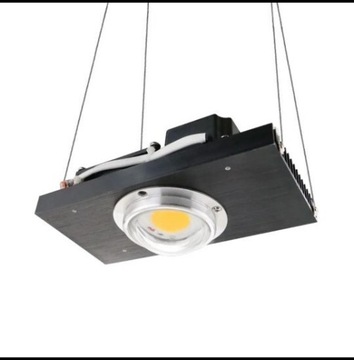 Lampa Led CoB do roślin 3500K