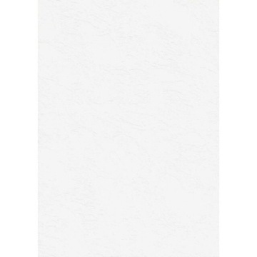 Papier wizytówkowy A4 biały tapeta 246g W04 Kreska
