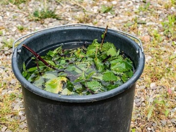 Naturalny nawóz z pokrzywy(gnojowica)  5 litrów 