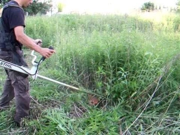 Wykaszanie terenów zielonych 