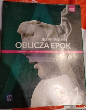 Podręczniki Język polski cz.1 i cz.2 klasa 1 WSiP