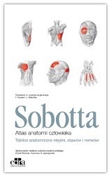 SOBOTTA. TABLICE ANATOMICZNE  Paulsen