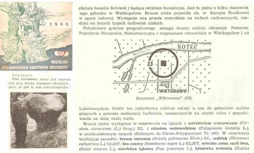 WIELKOPOLSKA -- ZABYTKI PRZYRODY -- 1966