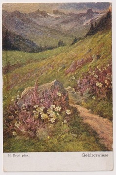 H. Drost  ok.1940r.  Karpaty Kwiaty pejzaż  