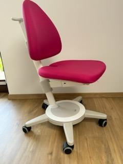 Krzesło rehabilitacyjne MAXIMO