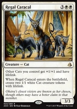 Karta Regal Caracal