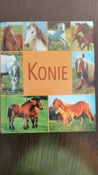 Książka Album Konie