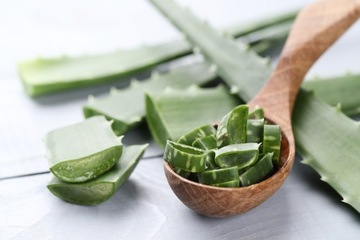 Aloe Vera EKO duże grube liście 2 kg