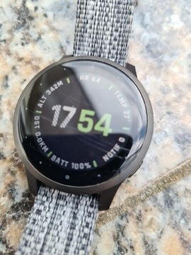 Smartwatch  Garmin Viviactive 4s ryski.