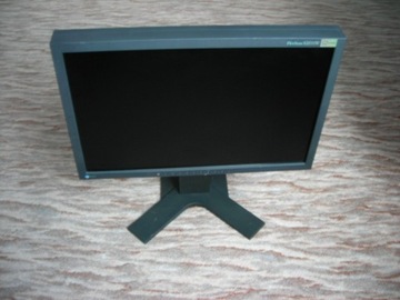 Eizo FlexScan S2031W monitor z głośnikami hub