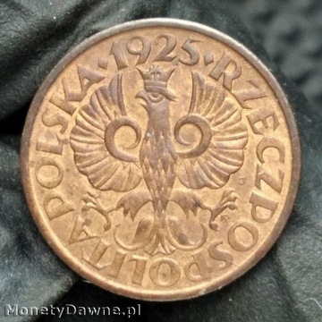 1 grosz 1925, II RP