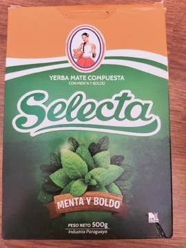 Yerba Mate Tea  Mint&Boldo