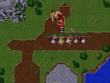 Tibia Elfbot Sterowanie mc PK, EXP, QUEST Nie Navi