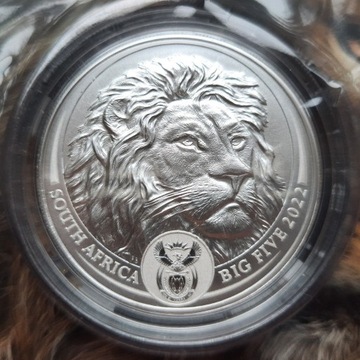 Big Five II: Lion Lew 1 uncja srebra 2022