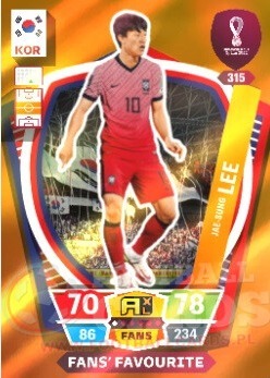 FIFA Qatar 2022 - Fan: Lee #315