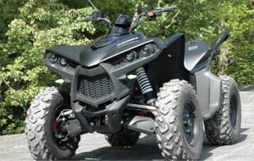 Cectek kingcobra 500 cały quad na części 