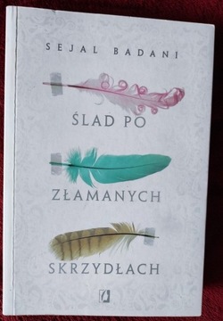 Ślad po złamanych skrzydłach 