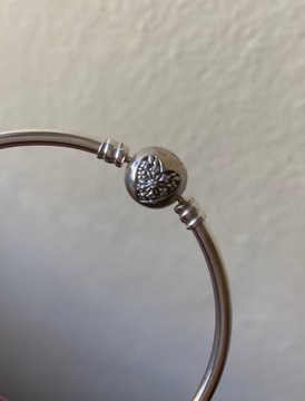 Pandora moments bangle You melt my heart