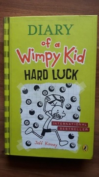 Diary of a wimpy kid hard luck jef kinney