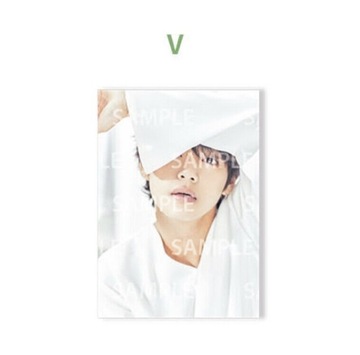 BTS Serendipity ONL Exhibition V Taehyung Poster