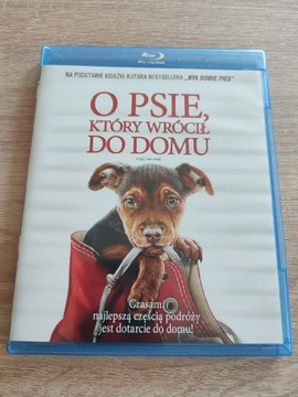 O psie, który wrócił do domu (Blu-ray)