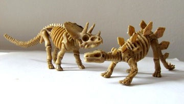 Dinozaury szkielety triceratops i stegozaur