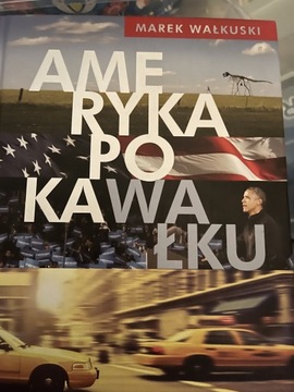 Ameryka po kawałku książka