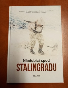 Niedobici spod Stalingradu - Reinhold Busch