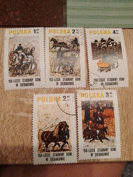  Stadnina koni w Sierakowie.