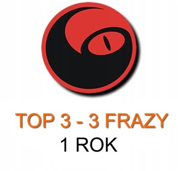 POZYCJONOWANIE STRON 1 ROK GOOGLE TOP3 3 FRAZY SEO