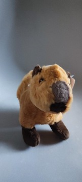 Kapibara maskotka 
