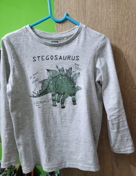 Bluza chłopięca w Dinozaura rozmiar 122 