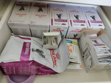 Royal Canin Renal dla kota