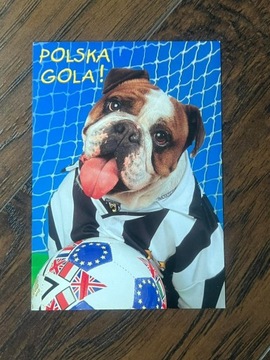 Pocztówka obrazek cute słodki pies dog