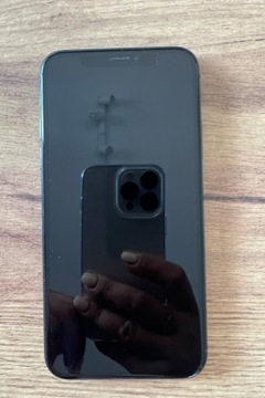 iPhone X 256GB