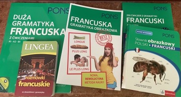 Francuski gramatyka - ćwiczenia, słownik, rozmówki