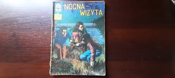 NOCNA WIZYTA KOMIKS