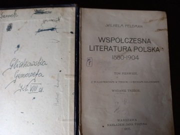 WSPÓŁCZESNA LITERATURA POLSKA 1880 - 1904