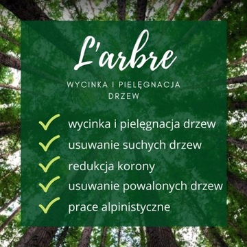 wycinka i pielęgnacja drzew Wołomin