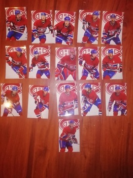 Karty/zdjecia/pocztówki hokejowe NHL kolekcjoner
