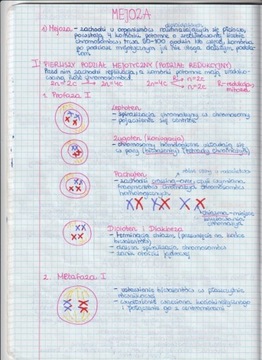 NOTATKI MATURALNE Z BIOLOGII cz.1 -4-letnie liceum