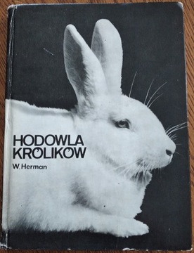 Hodowla królików - Herman