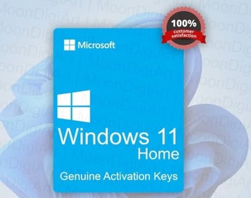 Windows 11 Home Automat 24/7