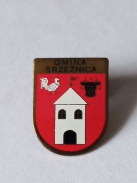 Herb gmina Brzeżnica przypinka pin metaliczna