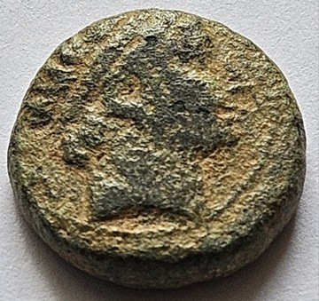 Moneta Grecka - postać konia