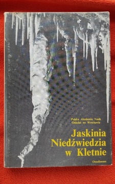 Jaskinia Niedźwiedzia w Kletnie, Jahna, Kozłowski